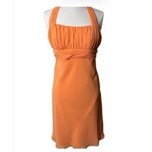 David’s Bridal Chiffon Dress  NWOT